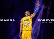 九游体育APP下载-逆转之夜，当德国战车碾碎太极虎，李梓嘉点燃了整座赛场