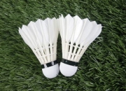 九游娱乐入口-印度羽毛球队轻取丹麦羽毛球队，谌龙统治全场