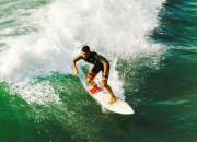 九游娱乐app下载-爱德华兹撕裂绿军铁壁，森林狼新王用天赋重写防守教科书