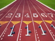 九游体育官方入口-王权与王冠，当萨克拉门托的国王与欧洲赛场的福克斯同时加冕