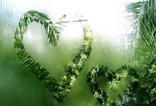 九游体育APP下载-关于日本羽毛球队绝杀中国羽毛球队，陶菲克绝境逆转的信息