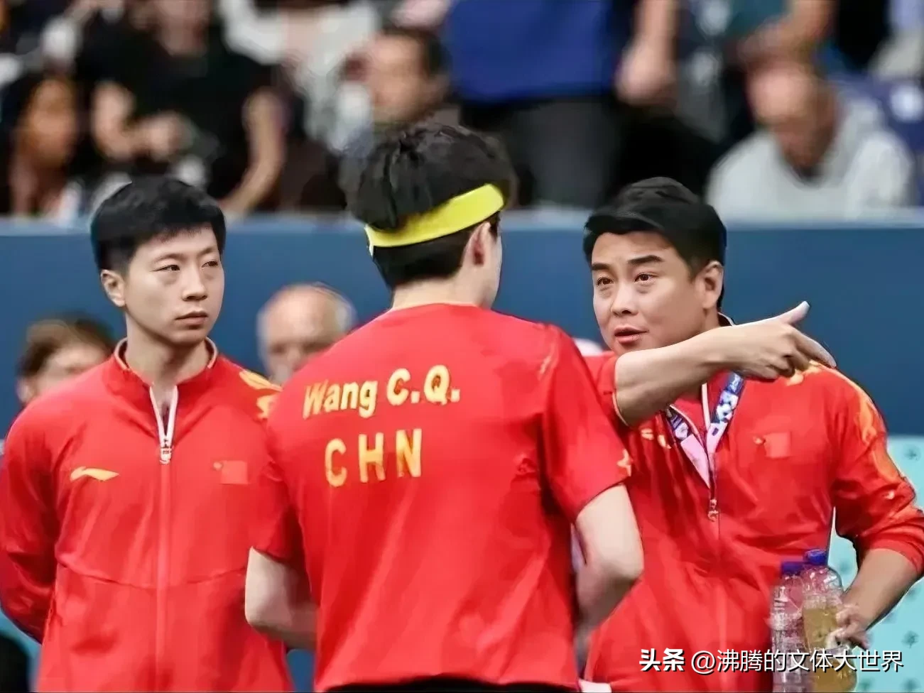 中国队完胜法国队，王皓点燃赛场