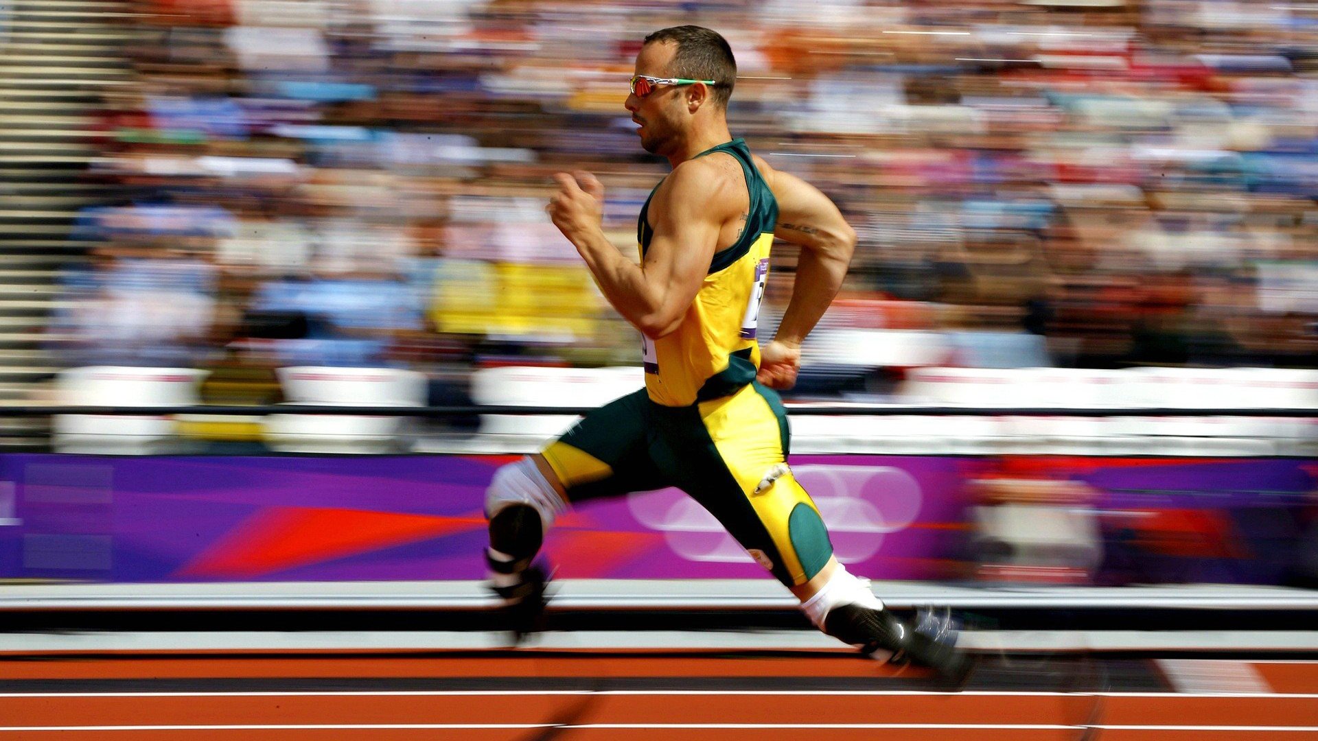 福克斯之夜，NBA总决赛舞台上的孤光与回响